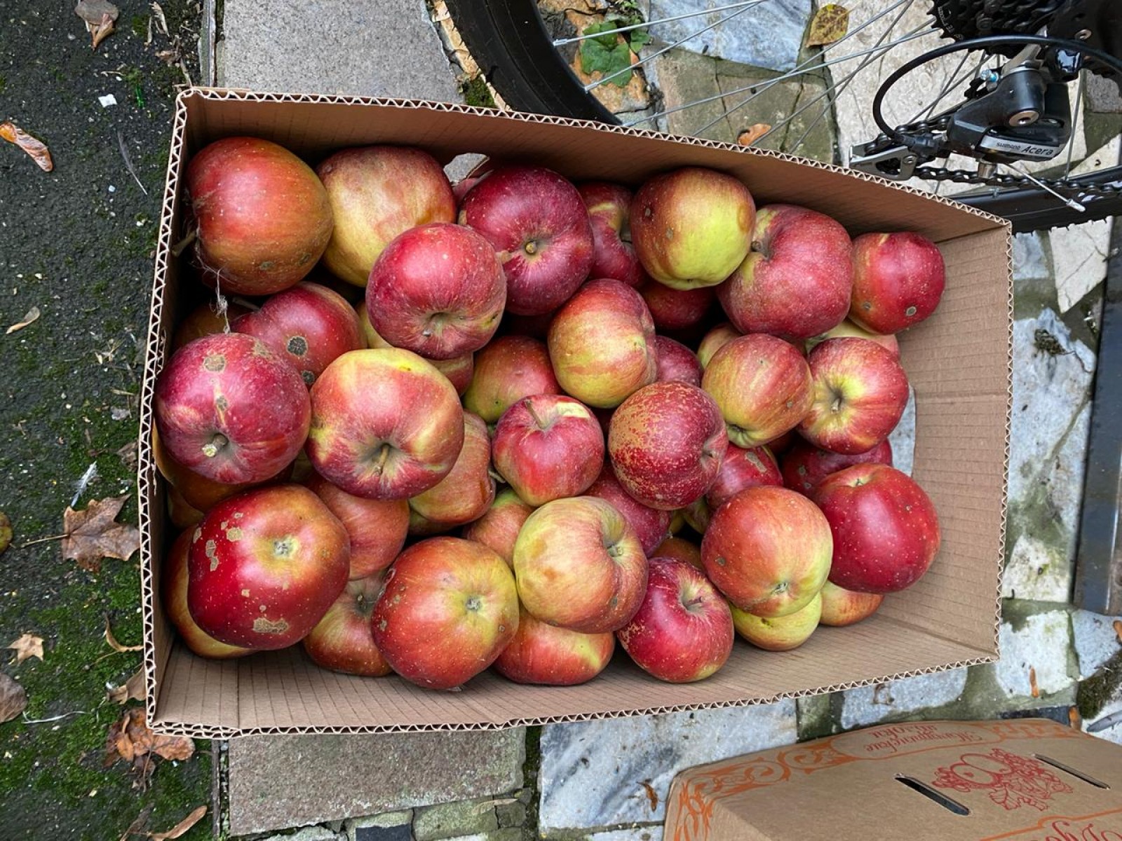 ТГУ им. Г.Р. Державина подарил ГИТИСу 2,5 тонны яблок и картофеля 
